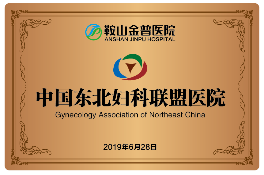 中國東北婦聯盟醫院