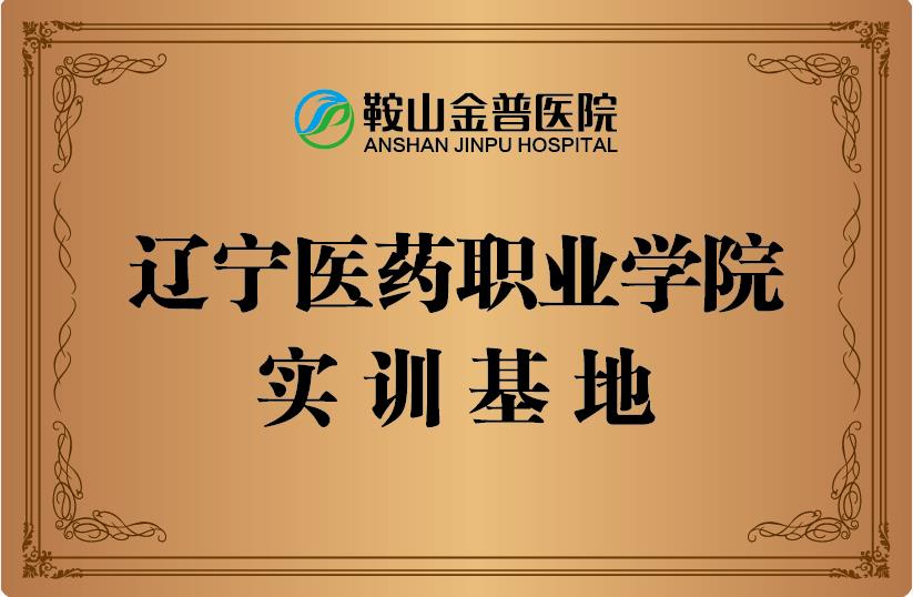 遼寧醫藥職業學院實訓基地